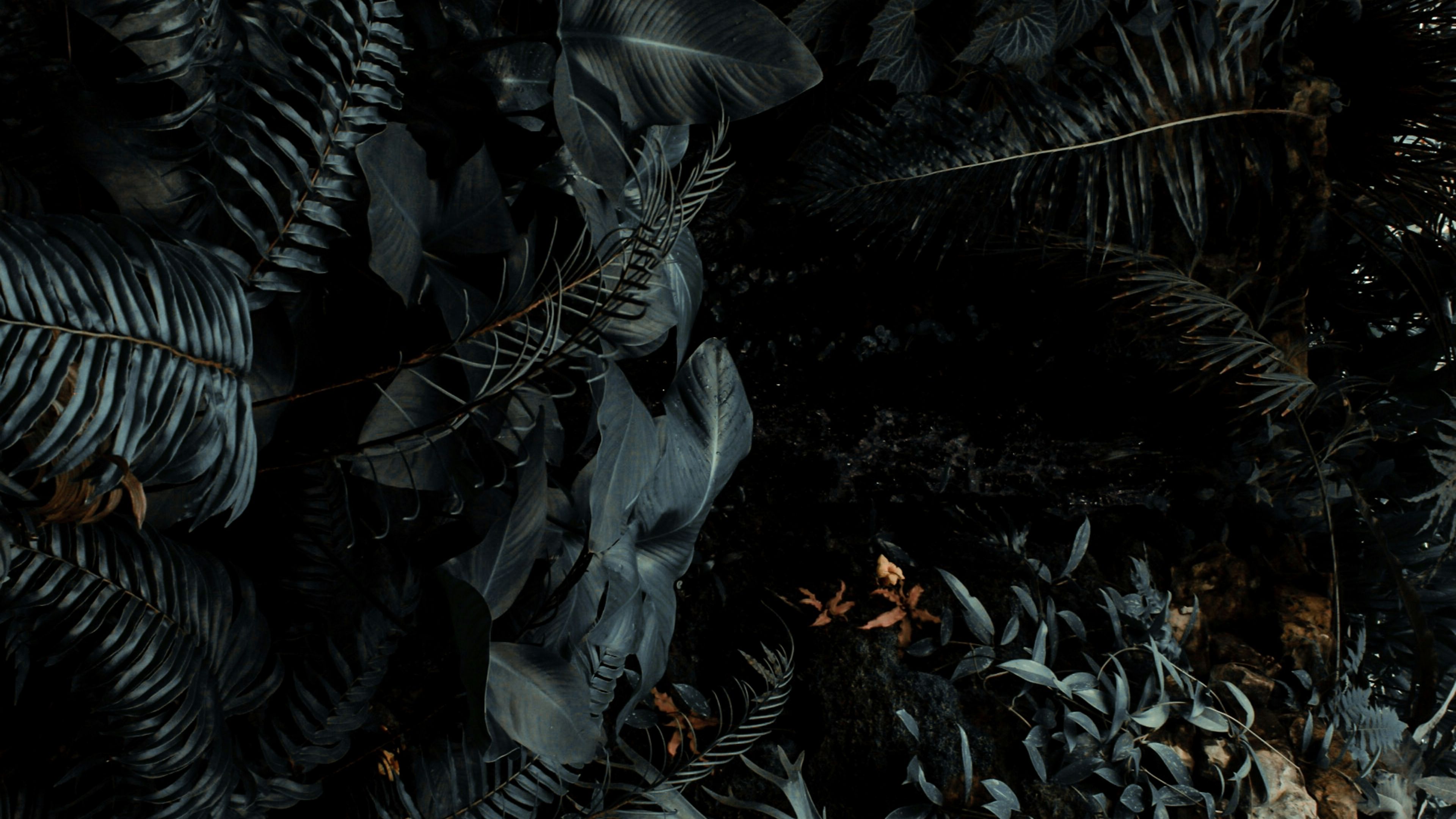 Разливная Парфюмерия